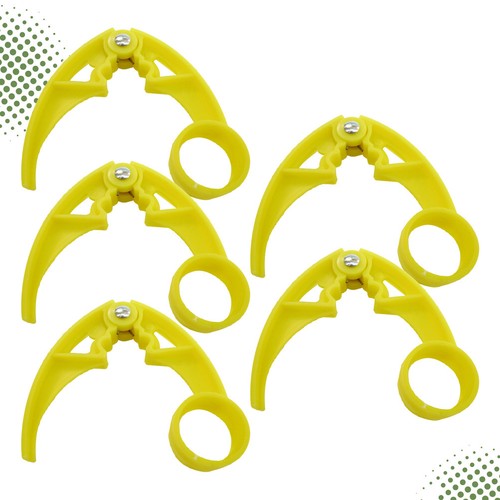 Yellow reusable nut - yellow, cracker
