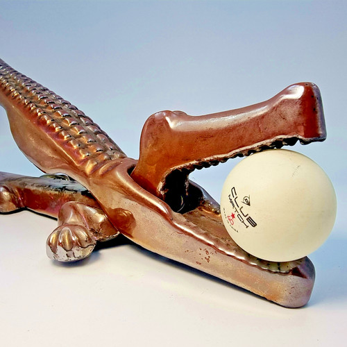 Grosser krokodil alligator - krokodil,